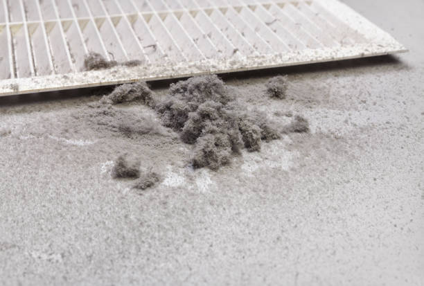 Best Ductwork Cleaning Services  in Decatur, MS