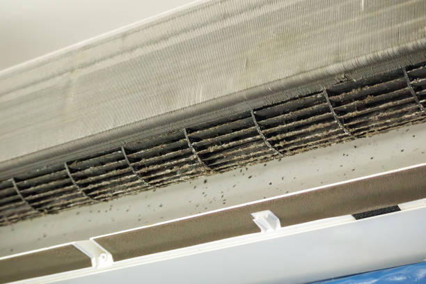 Air Duct Mold Removal in MS